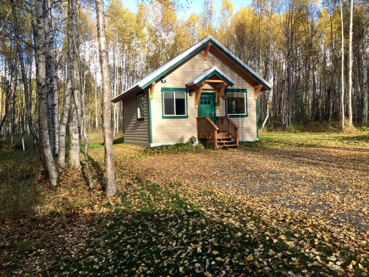 Talkeetna Mount Dall Cottage With Wifi&Laundry Exterior photo