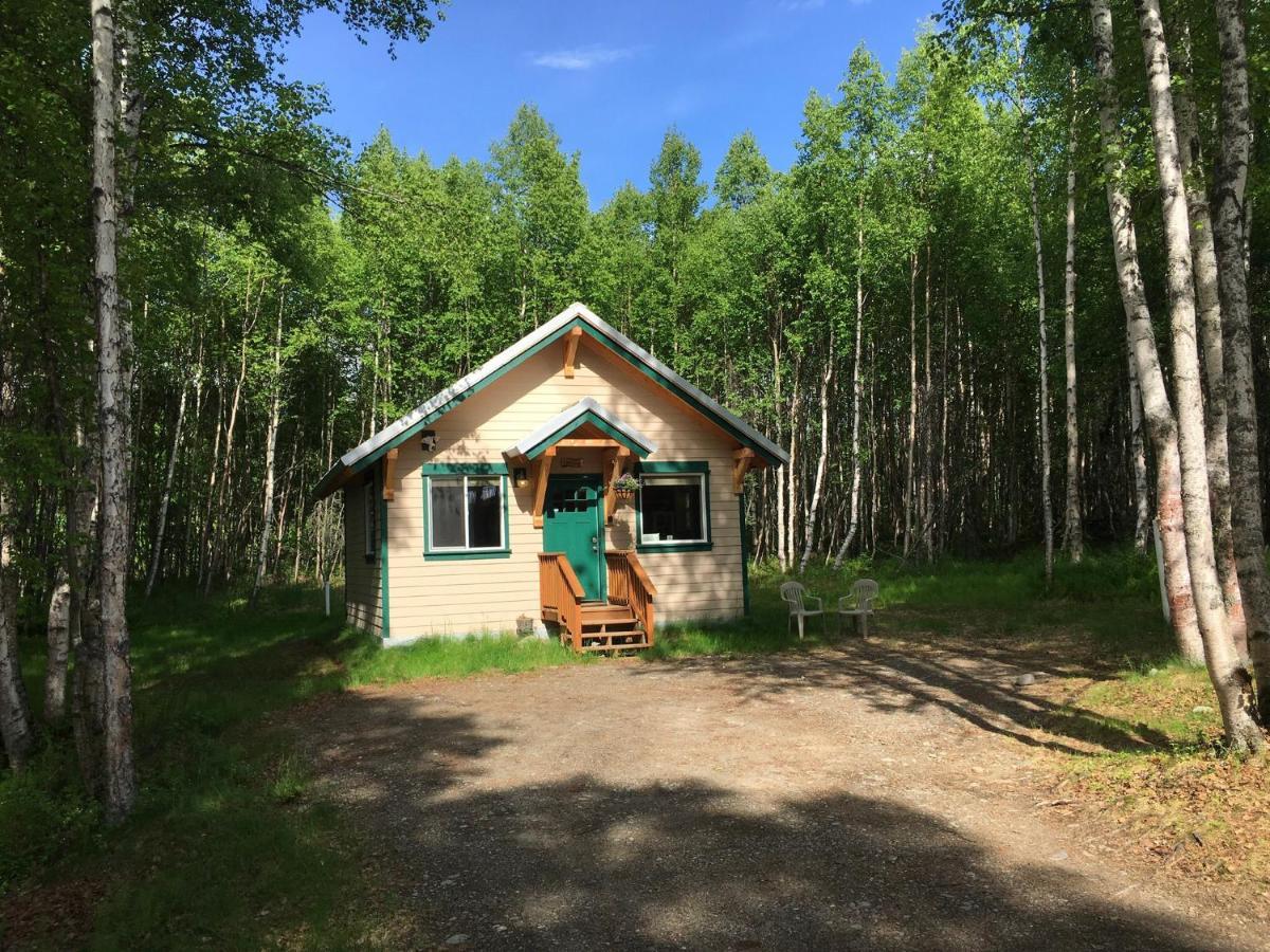 Talkeetna Mount Dall Cottage With Wifi&Laundry Exterior photo